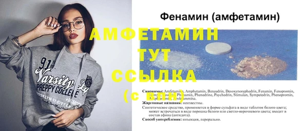СК Новодвинск