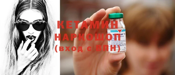 СК Новодвинск
