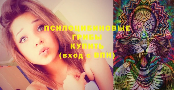 СК Новодвинск