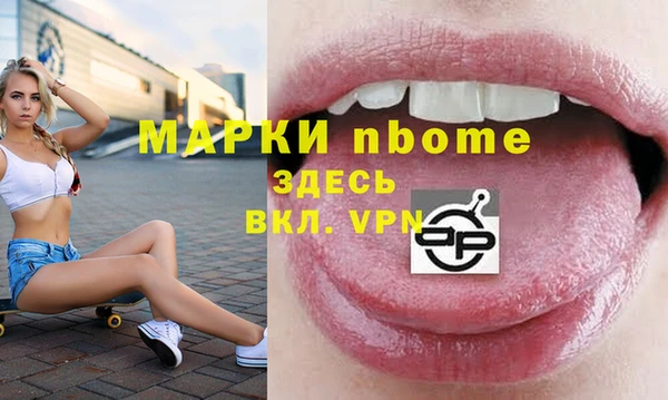 СК Новодвинск