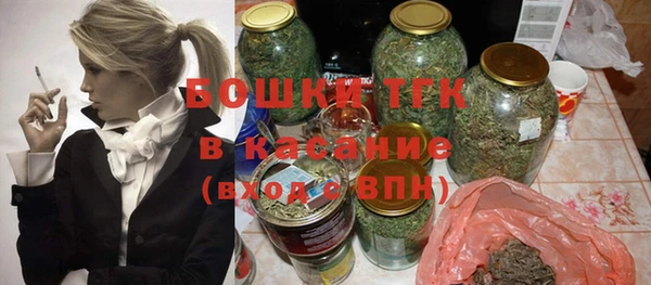 дмт Бикин