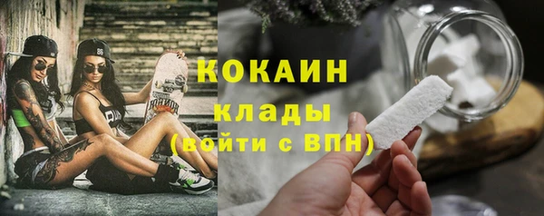 СК Новодвинск